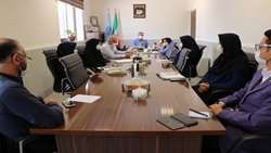 جلسه کارگروه اطلاع رسانی و آرامش بخشی دانشگاه علوم پزشکی استان سمنان برگزار شد 